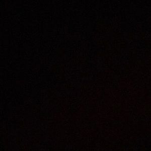 Meet your Posher, Raynee